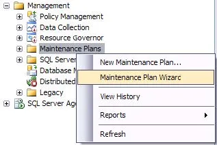 EPDM SQL Maintenance Plan Wizard